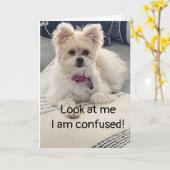 **16誕生日**大変な混乱！カード カード (黄色い花)