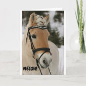 ***16誕生日**** WOWさん驚いたウマのカード カード (正面)