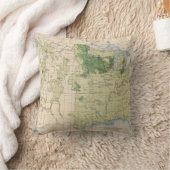 161 Barley/sqのマイル クッション (ブランケット)