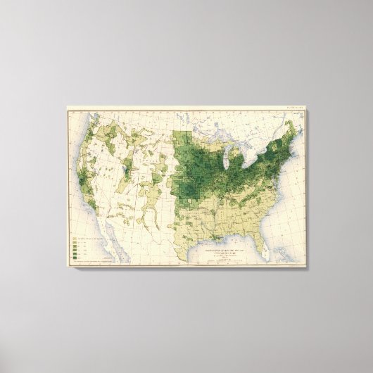 162ヘイ、飼料/平方マイル キャンバスプリント (正面)