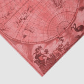 1664年 J Blaeu レッド ヴィンテージ 世界地図 薄葉紙 (詳細)