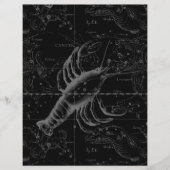 1690年がん星座 チラシ (正面)