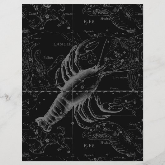 1690年がん星座 チラシ (正面)