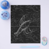 1690年がん星座 チラシ (シングル)