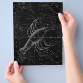 1690年がん星座 チラシ (手)