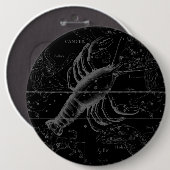 1690年がん星座 缶バッジ (正面&裏面)