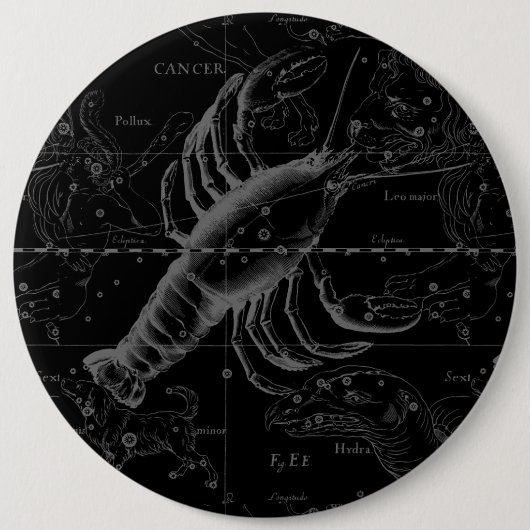 1690年がん星座 缶バッジ (正面)