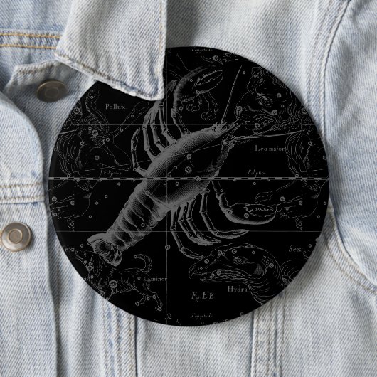 1690年がん星座 缶バッジ (インサイチュ)