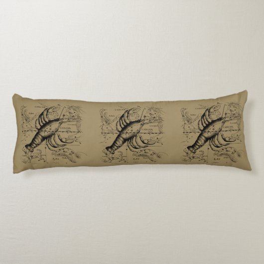 1690年頃の天脈層によるがん星座 ボディピロー (裏面)