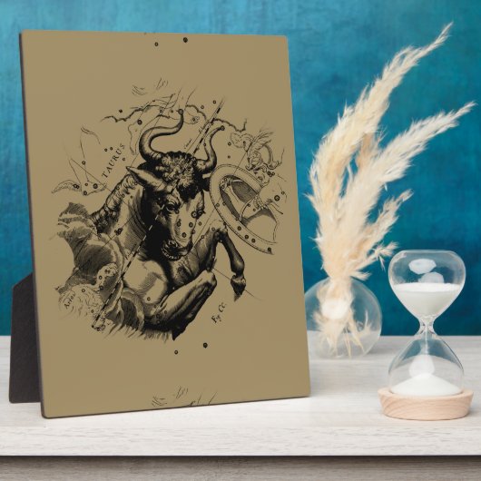 1690年頃の天脈星座 フォトプラーク (側面)