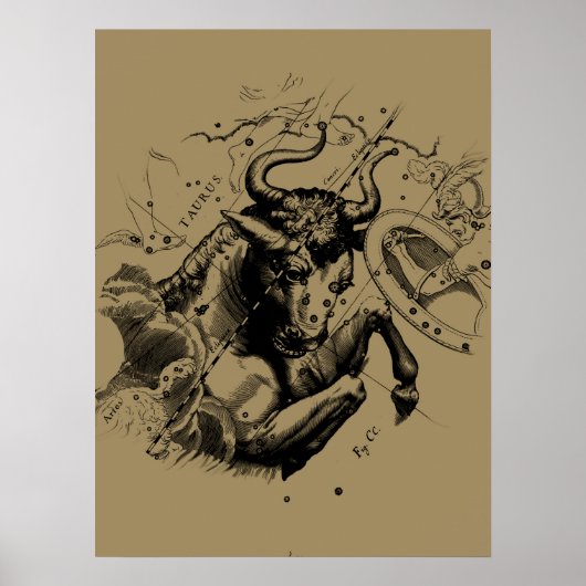 1690年頃の天脈星座 ポスター (正面)