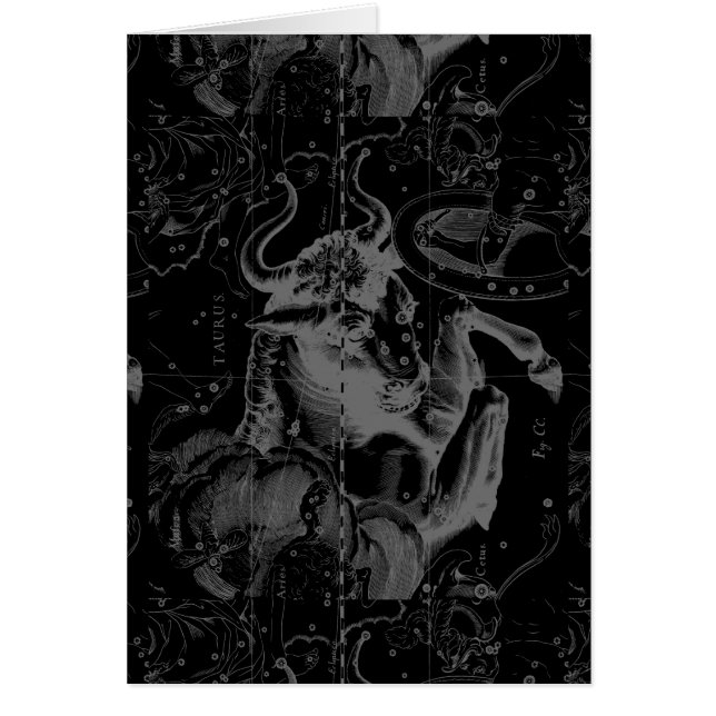 1690年頃トーラスの印の星座Hevelius (正面)