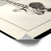 1691解剖学芸術的骨格背骨アートプリント ポスター (角)