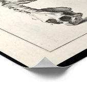 1691解剖学芸術的骨格背骨アートプリント ポスター (角)