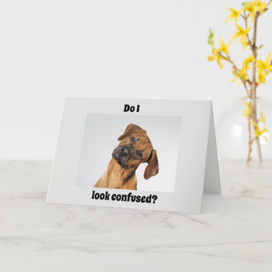 16"は重要な誕生日を言う！ カード (黄色い花)