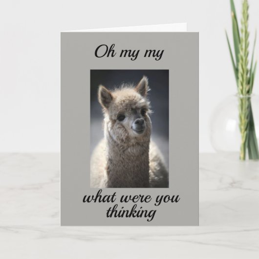 *16?*カードの裏返し カード (正面)