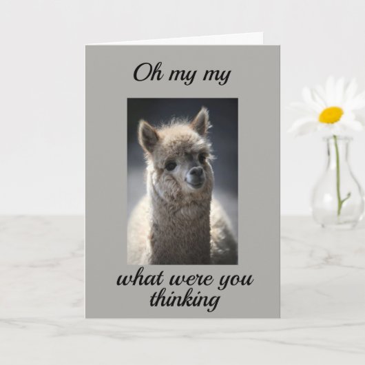 *16?*カードの裏返し カード (小さな植物)