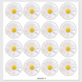 16 シャスタ デイジー フラワー キス カット ステッカー シール