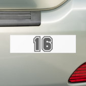 16 バンパーステッカー (車上)