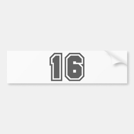 16 バンパーステッカー (正面)
