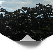 16:31主イエス信じキリストに対して行われる行為… ポスター (角)