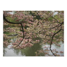 16"x12" Pink Dogwood