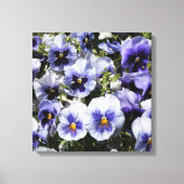 16"x16"パープルパンジー キャンバスプリント (正面)
