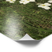 16"x20"ホワイトドッグウッド フォトプリント            (角)