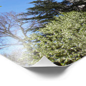 16" X 12" Salt Lake City LDS Temple フォトプリント (角)