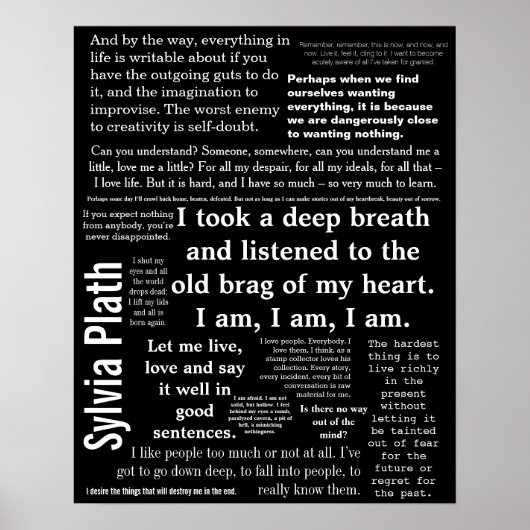 16」 x 20インチ、バリューポスター紙（マット） ポスター (正面)