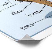 16x12イヌ解剖学 ポスター (角)