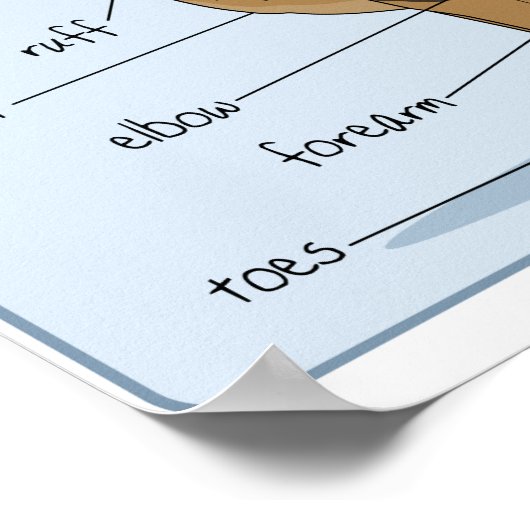 16x12イヌ解剖学 ポスター (角)