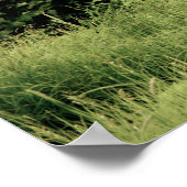 16x12グリズリーベアのポスター紙（マット） ポスター (角)