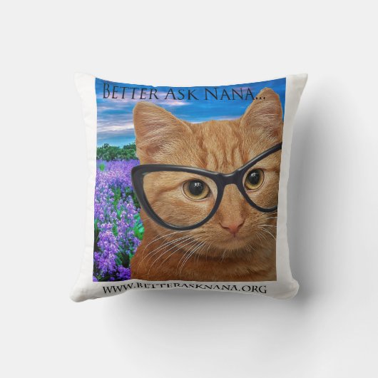 16x16ピローより良いnana頼 クッション (裏面)