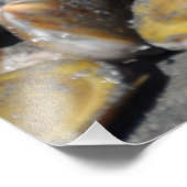 16X20かみそりクリーム掘り フォトプリント            (角)