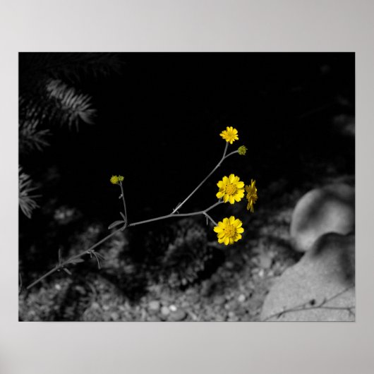 16x20の木色の下の黄色い野の花 ポスター (正面)