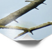 16x20イーグルのサテン写真 フォトプリント            (角)