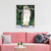 16x20キャンバスプリント（光沢）、《鳥》ハヤブサ付き キャンバスプリント (インサイチュ (リビング))