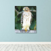 16x20キャンバスプリント（光沢）、《鳥》ハヤブサ付き キャンバスプリント (インサイチュ (ウッドフロア))