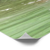 16x20グリズリーベアカブのポスター紙(マット) ポスター (角)