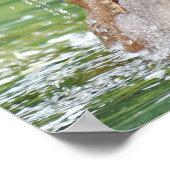 16x20バリューポスター紙（マット）、グリズリーベア ポスター (角)