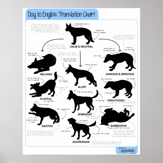 16x20体言語 ポスター (正面)