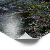 16x20山セントヘレン フォトプリント            (角)