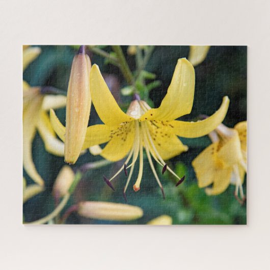 16x20、520ピース、パズル ジグソーパズル (横)