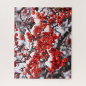 16x20、520ピース、パズル ジグソーパズル (縦)