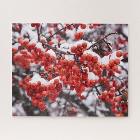 16x20、520ピース、パズル ジグソーパズル (横)