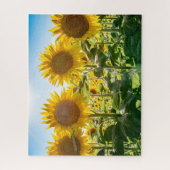 16x20、520ピース、パズル ジグソーパズル (縦)