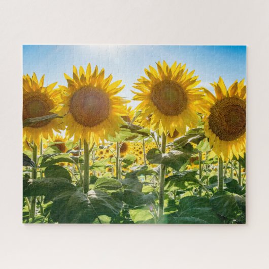 16x20、520ピース、パズル ジグソーパズル (横)