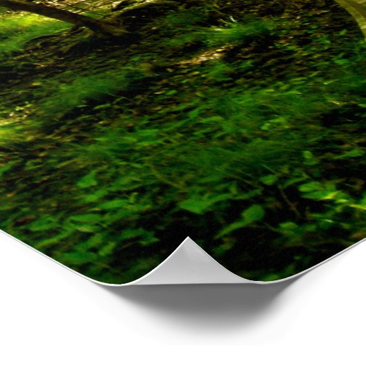 16x20 Poster - Forest Path ポスター (角)