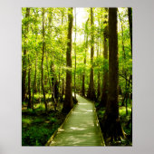 16x20 Poster - Forest Path ポスター (正面)